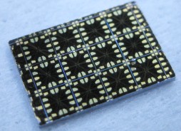 IMG_1862_chips